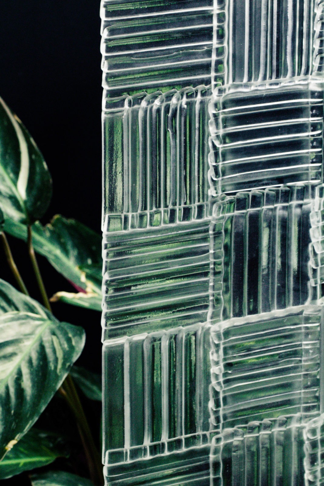 Partition glass interior slice Wavy fragment plant